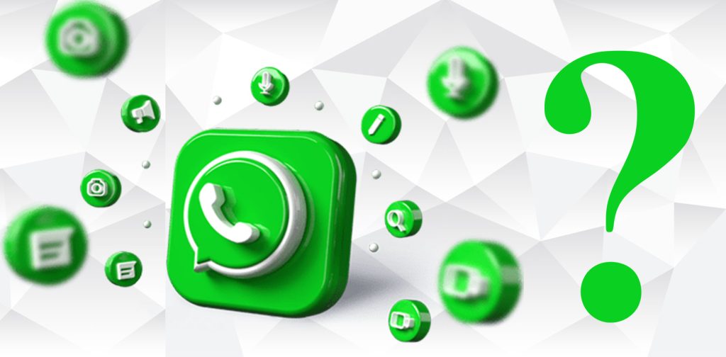 whatsapp maketing agency reuads